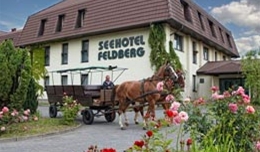 Seehotel Feldberg