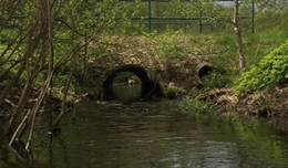 Erste Brücke nach der Kuhlmühle, man kann gut durch fahren.