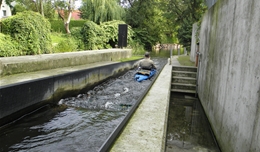 Kanu-Fisch-Pass Fürstenberg